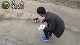 可怜的小野猫，饿得连藕条都吃，这猫看着真讨人喜欢
