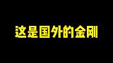 国外的金刚太凶了还是我们国内的可爱