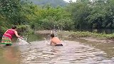 没事就来叉鱼烤着吃，荒野夫妻的生活你羡慕不？