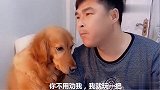 妞爸和妞妈玩猜拳游戏，妞爸输的很惨，妞妞劝阻妞爸别玩了，逗