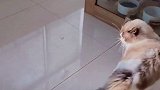 打那一下我是劝架的，你们应该能看出来吧……
