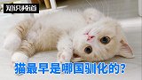猫最早是哪个国家的人驯化的？