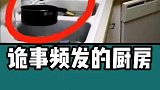 全球最离奇的趣事