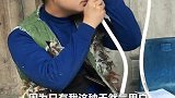 上一条不见了，这条别不见了亲