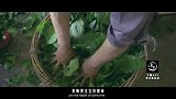 20170217-外国觊觎4000年的中国至宝-看鉴地理3