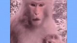 男同胞都看看，太真实太扎心了