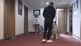 阿拉斯加被主人遗弃后，喜欢咬人，训狗师也被咬