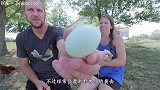 鸡舍少了几只鸡，农主设下陷阱抓偷鸡贼，抓住的东西比蟒蛇还恐怖