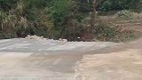 男子发现明明有位置停车，为什么非要停在路口