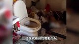 男子租房3年后留一屋垃圾山，房东：屋顶布满蜘蛛网，衣柜全是蟑螂屎