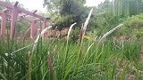 忘了时间，忘了你。