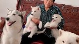 毛孩子们 跟姥姥拍照