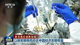 新思想引领新征程丨以新发展格局夯实中国经济发展根基