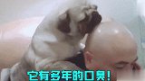 洗头的奇葩操作，只要思想不滑坡，方法总比困难多