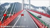为什么高架桥长满了爬山虎？不怕被腐蚀吗？看完佩服国人的智慧