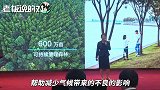 苹果副总裁：将在中国投资600万亩森林，面积相当于两个深圳