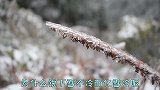 为什么很多人都说下雪不冷化雪冷呢,到底是什么原因?