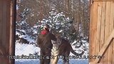 游客拿生肉喂雄狮，不料雄狮眼神不对劲，镜头拍下全过程！