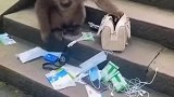 没有被人抢，结果遇上了山上的强盗，这得怎么判刑