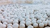 海岸边的神秘雪球是什么？科学家：可能是大自然开的玩笑？