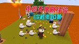 迷你世界：岩浆岛生存！小鸡可以无限刷经验，拾取小星星秒涨30