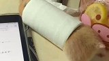 主人：这玩意真可爱啊