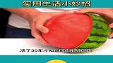 这样给狗狗吹毛你试试