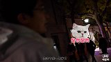 在北京闹市区公然养豹？！这家店什么背景？
