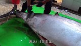 中国大厨处理巨大金枪鱼，重达283公斤，听完价格懵了