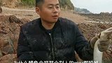 炸弹鱼打窝200平巨石坑 巨大石斑现身令人狂喜