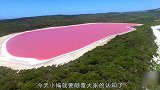 世界上最浪漫的湖泊，湖水呈粉红色，原理是什么