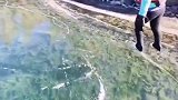 这清澈见底的厚冰层，美极了