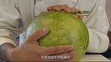 将铝水倒入西瓜会变成什么样男子冒险试验，结果惊艳众人