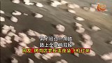 男子经过一条路，路上全是鸡屁股