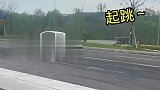 看见我都开心的蹦起来了