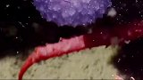 海底发现的紫色宝珠
