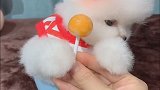 这是啥呀……这么好吃