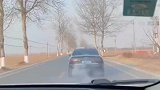 这个黑车什么情况？跟在后面会迷路吧？