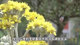 妻子想吃火锅被拒生气跳车身亡！丈夫被控过失致人死亡，法院判了