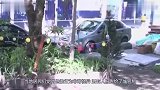 7旬老人带着老狗，每天都会钻入下水道中，城管调查后不淡定了