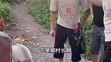 看来准备有烤猪吃了