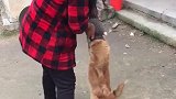 问君能有几多愁，瓦罐里面卡狗头