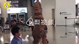 甜！哥哥扮恐龙接机，妹妹兴奋拥抱
