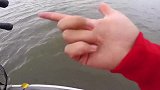 看着孕妇鱼上钩好几次，是有多饿呀还是想上来呼吸新鲜空气！