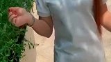 合拍不怕老婆合拍