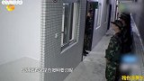 【盘点】全怼张大大合集，内容极度舒适，建议反复观看