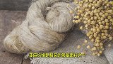 加拿大农民采收千亩亚麻田，收获成吨压榨炼制亚麻籽油！