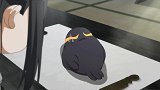 魔道祖师Q：魏无羡考试作弊传纸条，结果信鸽被蓝湛给迷住了！