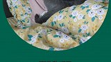 想打！戏精 猫主子的日常