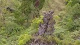 贵州大山发现一对情侣石头，两个石头紧紧的抱在一起，太神奇了